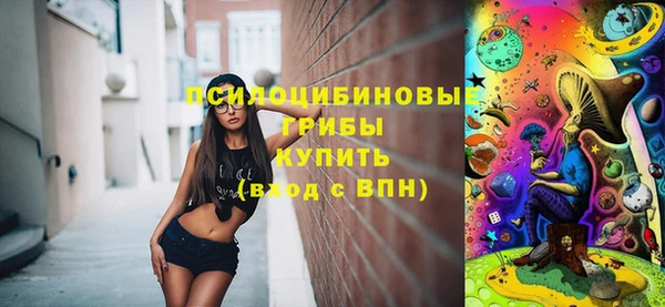 прущие грибы Алексеевка