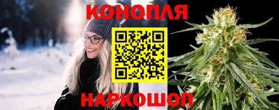 крисы Малгобек