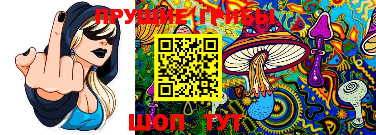 Темрюк  Псилоцибиновые грибы мухоморы  Вход с VPN 